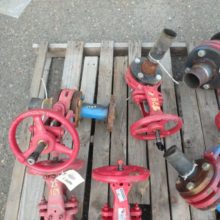 2" Red Stainless Steel Gate Valves