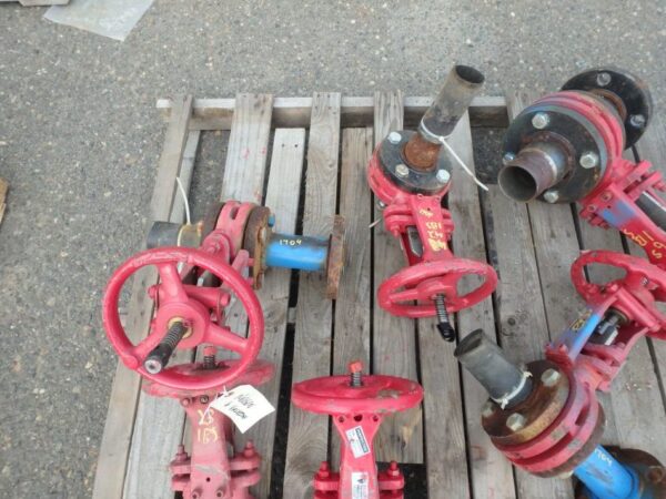 2" Red Stainless Steel Gate Valves