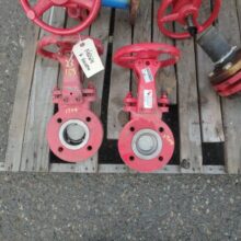 2" RED STAINLESS STEEL GATE VALVES