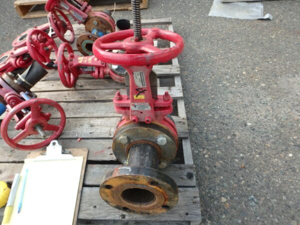 3" Red Stainless Steel Gate Valve