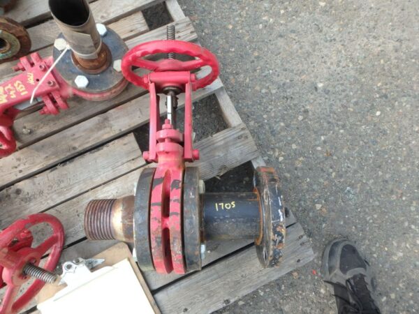 3" Red Stainless Steel Gate Valve