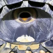 L03145 -Metso 10'6Dia x 17'6, 1000HP Ball Mill (5)
